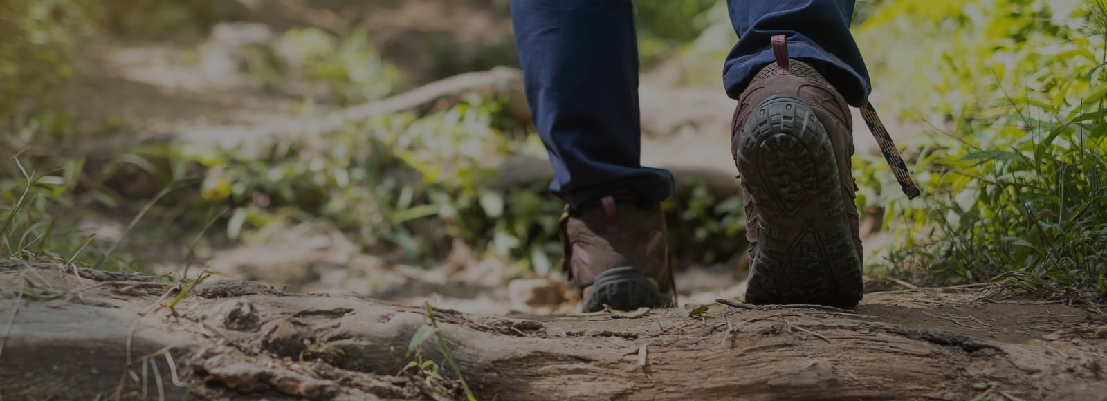 홀씨 앱 다운로드